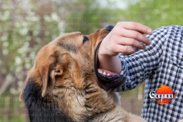 සෞඛ්‍ය අංශ වෙතින් භයානක හෙළිදරව්වක්