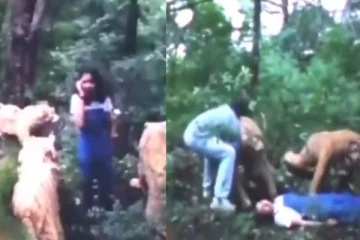 என்னடா புலிக்கு வந்த சோதனை - ஒற்றை ஆளாக 5 புலிகளை அடிக்கும் ஹுரோ; ட்ரெண்டிங் வீடியோ