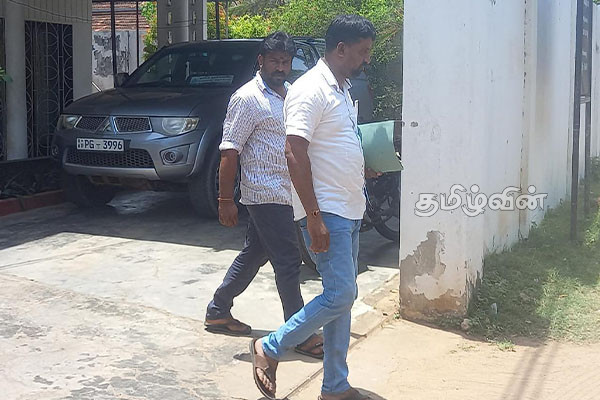 சுழிபுரம்-பறாளாய் முருகன் ஆலய அரச மரம் விவகாரம் - நீதிமன்றம் நாடவுள்ள ஐக்கிய மக்கள் சக்தி | Temple Royal Tree Issue Court