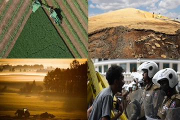 இலங்கை முதல் கனடா, அமெரிக்கா வரை: உலக உணவுப்பிரச்சினை அச்சுறுதல் என்பது உக்ரைனுக்கு மட்டுமல்ல