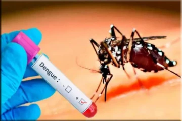 அதிகரிக்கும் டெங்கு அபாய வலயங்களின் எண்ணிக்கை: 9 மரணங்கள் பதிவு