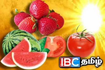 வெயில் காலத்தில் சாப்பிட வேண்டிய உணவுகள் பற்றி தெரியுமா....