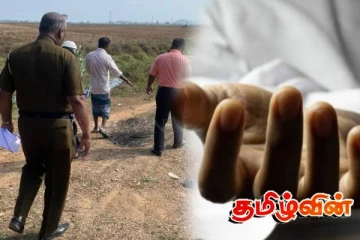அம்பாறையில் விவசாய நடவடிக்கையில் ஈடுபட்டுக் கொண்டிருந்த நபரொருவர் உயிரிழப்பு