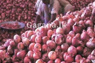 නැතුවම බැරි ලොකු ලූණුවලට ලොකුවටම මොකක් වෙයි ද?. දැන් ලැබුණ ආරංචියක් මෙන්න.