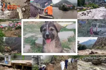 நள்ளிரவில் நாய் குரைத்ததால்.. 67 பேர் உயிர் தப்பிய அதிசயம் - என்ன நடந்தது?