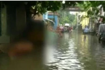 தொடரும் கனமழை - மின்சாரம் தாக்கி துடிதுடித்து உயிரிழந்த மாடு:  பொதுமக்கள் கண்ணீர்