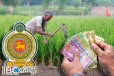 விவசாயிகளின் வங்கிக் கணக்கில் வைப்பிலிடப்படவுள்ள இழப்பீட்டுத் தொகை