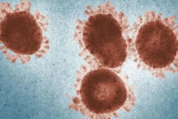 48,500 ஆண்டுகள் பழைமையான வைரஸ் கண்டுபிடிப்பு!