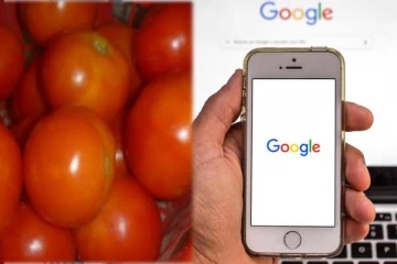 தாறுமாறாக எகிறிய தக்காளி விலை: பதறியடித்த மக்கள் Google-ல தேடியது என்ன தெரியுமா?