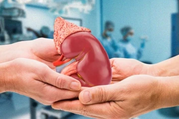 ஐரோப்பிய நாடொன்றில் உயிரிழந்த இலங்கையரின் உறுப்புக்கள் தானம்;