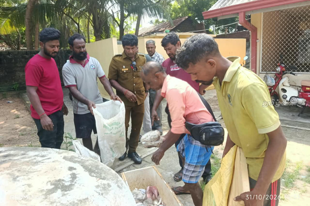 யாழில் பழுதடைந்த மீன்களை விற்பனை செய்தவர்கள் மீது நடவடிக்கை | Action Against Spoiled Fish At Uduppiddi Market யாழில் பழுதடைந்த மீன்களை விற்பனை செய்தவர்கள் மீது நடவடிக்கை | Action Against Spoiled Fish At Uduppiddi Market
