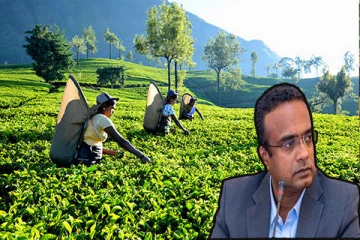 பெருந்தோட்ட தொழிலாளர்களின் சம்பளம் தொடர்பிலான அறிவிப்பு விரைவில்