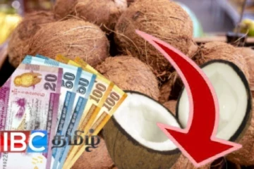 தேங்காய் விலை தொடர்பில் வெளியான மகிழ்ச்சி தகவல்