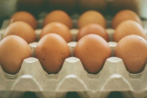 முட்டை விலை தொடர்பில் வெளியான மகிழ்ச்சி தகவல் | Information On The Price Of Eggs