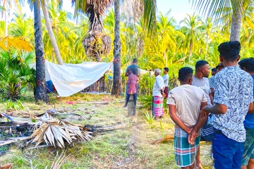 மன்னாரில் 10 வயதான சிறுமிக்கு நேர்ந்த துயரம்: வெளியான அதிர்ச்சித் தகவல்