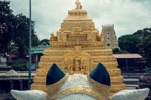 60 அடி உயர சுயம்பு லிங்கம் கோவிலின் சிறப்புகள்! மெய்சிலிர்க்க வைக்கும் வரலாறு | Mallikarjuna Swamy Temple