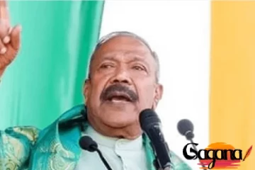 සජබ බලය ගන්නා පළාත් පාලන ආයතනවලට රජයේ මුදල් ඕන නෑ – රාධාක්‍රිෂ්ණන්