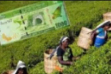 பெருந்தோட்ட தொழிலாளர்களுக்காக இன்று முடங்கியது மலையகம்!