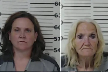 4 வயது மகனை சொந்த தாயே குத்திக் கொன்ற சம்பவம்: அமெரிக்காவில் அரங்கேறிய துயரம்