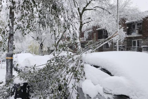 டொராண்டோவில் பலத்த காற்று குறித்து எதிர்வுகூறல் | Power Outages Possible As Wind Warning