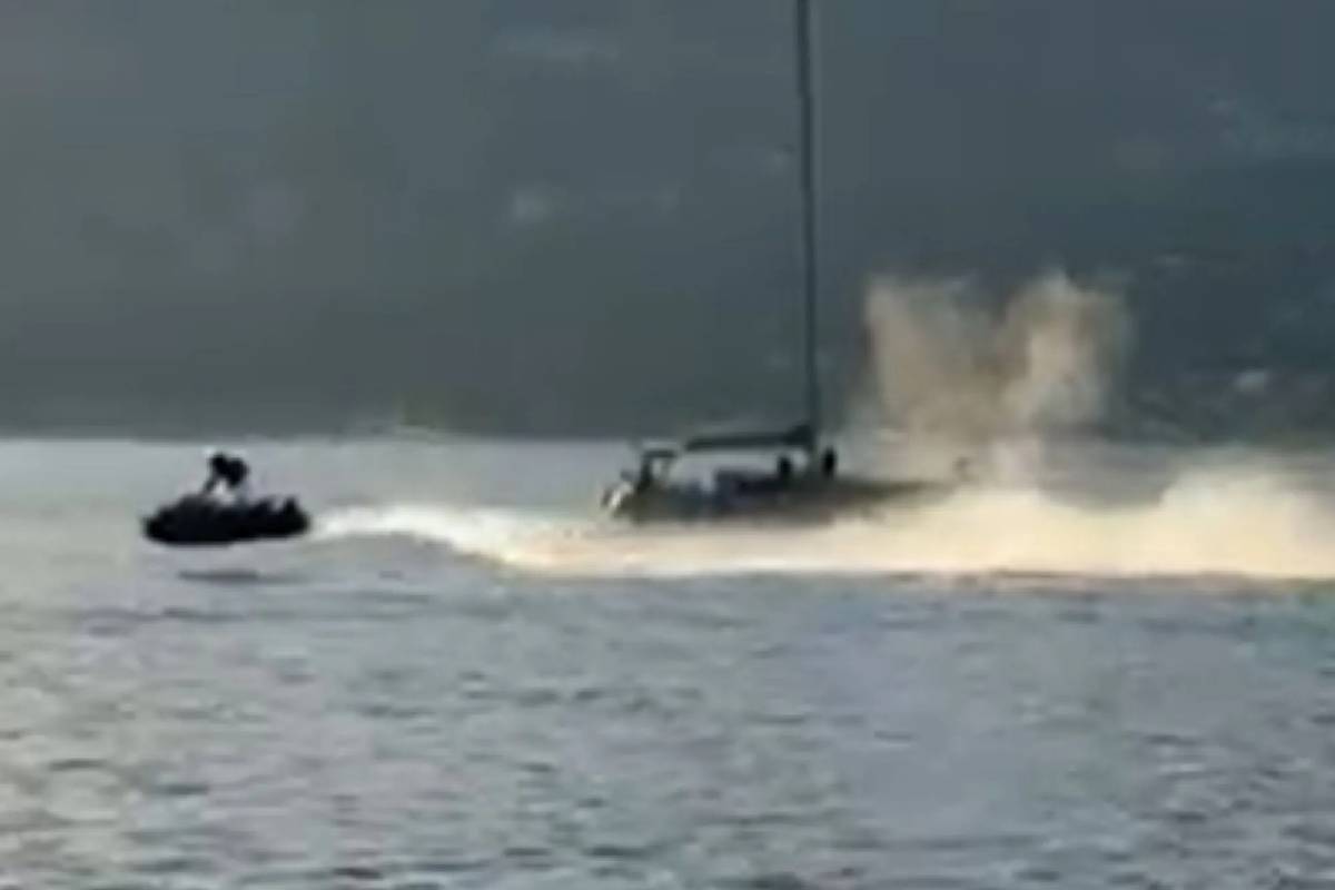 கனடாவில் திமிங்கலத்தின் மீது படகை மோதிய நபர் | Man Hits Jet Ski Rider Into Whale In Canada