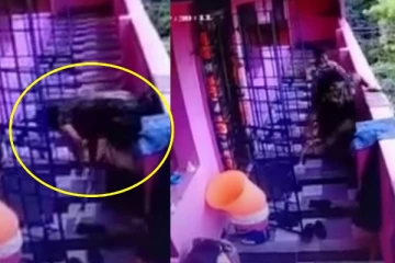 எலியை அடிக்க துரத்திய பெண் மகன் கண் முன்னே செத்து மடிந்த அவலம்! நெஞ்சை உறைய வைத்த காட்சி