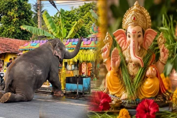 களுதாவளை பிள்ளையார் ஆலயத்தில் மெய்சிலிர்க்க வைத்த சம்பவம்!