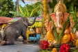 களுதாவளை பிள்ளையார் ஆலயத்தில் மெய்சிலிர்க்க வைத்த சம்பவம்!