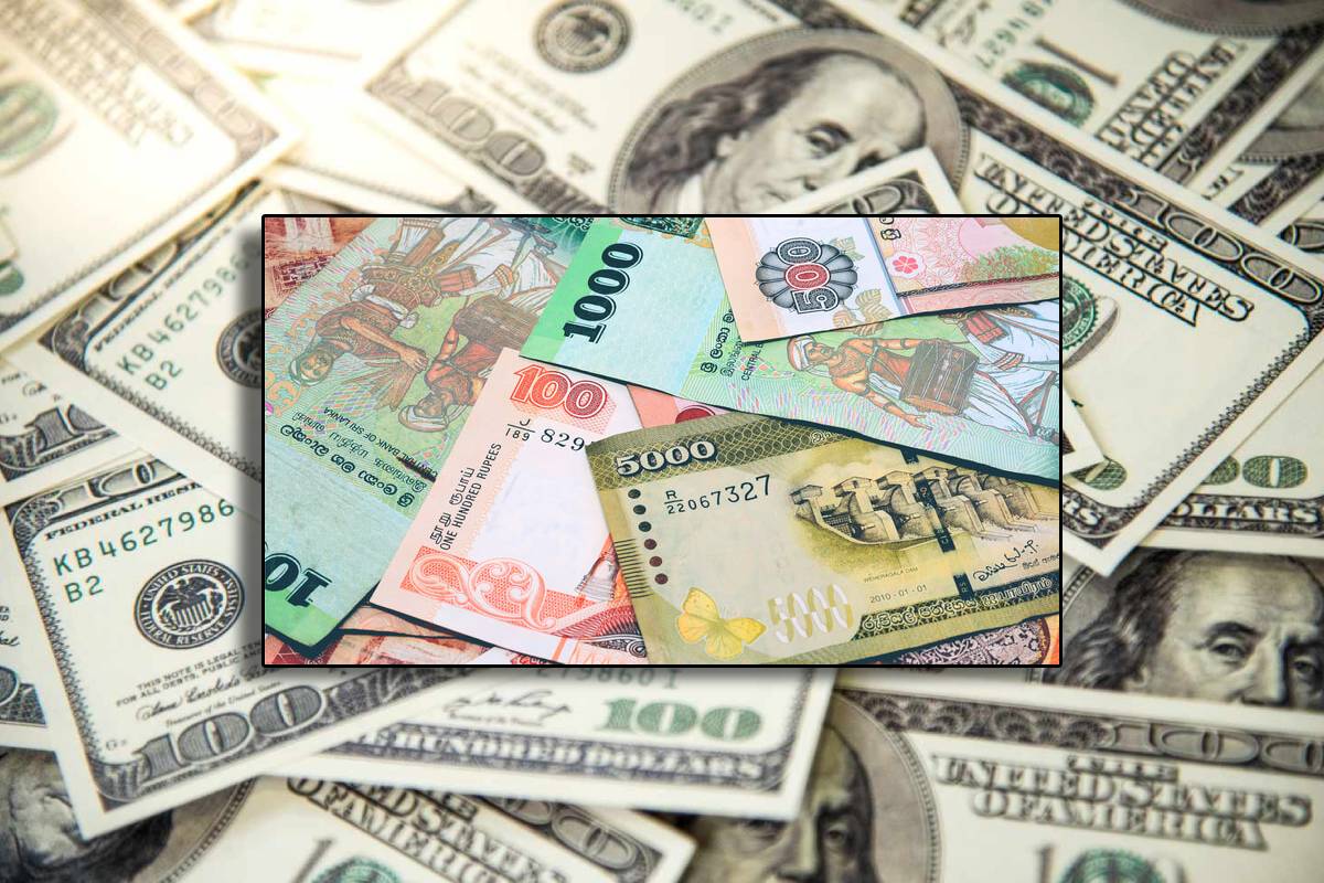 அமெரிக்க டொலரின் பெறுமதியில் இன்று ஏற்பட்ட மாற்றம் | Us Dollar Rate In Sri Lanka Banks Today