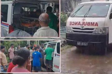 குளவியால் 100 மாணவர்கள் வைத்தியசாலையில்!