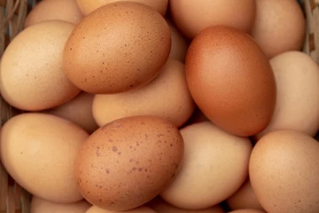 முட்டை விலை தொடர்பில் வெளியான மகிழ்ச்சி தகவல்