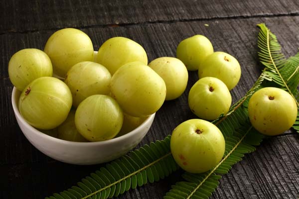 எந்தவொரு நோயும் தாக்காமல் இருக்கணுமா? தினமும் ஒரு நெல்லிக்காய் சாப்பிட்டால் போதும் | Daily Eat One Amla Lot Of Benefits Our Body