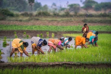 விவசாயிகளுக்கு அமைச்சர் வெளியிட்ட மகிழ்ச்சி தகவல்!