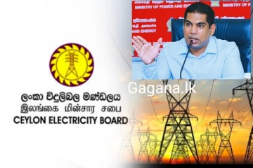 විදුලිබල ඇමතිගෙන් රටටම සතුටුදායක ආරංචියක්..