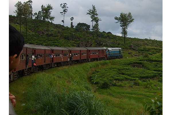 முடங்கியது புகையிரத சேவைகள் | Train Services Were Suspended