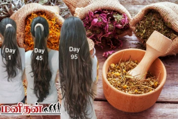 முடி வளர்ச்சியை வேகமாக்க வேண்டுமா?இந்த மூலிகைகள் இருந்தால் போதும்