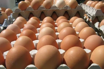 முட்டை மற்றும் கோழி இறைச்சி விலையில் ஏற்படவுள்ள மாற்றம்