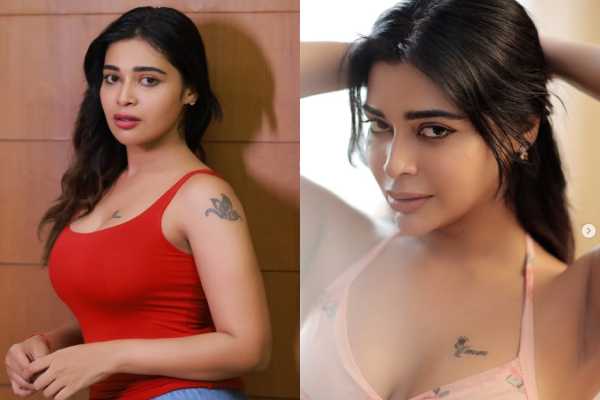 கிளாமர் குயின் தர்ஷா குப்தாவின் தீபாவலி ஸ்பெஷல் கிளிக்ஸ் | Actress Dharsha Gupta Diwali Special Photoshoot