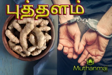 புத்தளத்தில் 45 இலட்சம் ரூபாய் பெறுமதியுள்ள இஞ்சி பறிமுதல்