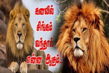கனவில் சிங்கம் வருவது நல்லதா கெட்டதா? கட்டாயம் தெரிஞ்சிக்கோங்க