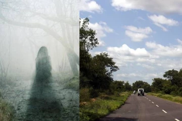 திருவண்ணாமலையில் பேய்கள் நடமாட்டம்; வெள்ளை நிற மர்ம உருவங்கள் - பீதியில் மக்கள்!