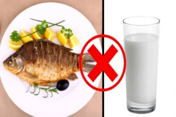 மறந்தும் கூட இந்த இரண்டு உணவுகளை சேர்த்து சாப்பிடாதீங்க: என்னென்ன தெரியுமா?