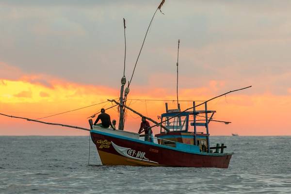 வடக்கில் தொடரும் சட்டவிரோத கடற்றொழில் நடவடிக்கைகள்.. முன்வைக்கப்பட்டுள்ள கோரிக்கை | Arumugam Sivaneswaran Speech