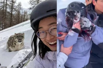 பனிச்சிறுத்தையுடன் திகிலூட்டும் செல்ஃபி எடுத்த பெண்: அடுத்த நிமிடத்தில் நேர்ந்த விபரீதம்