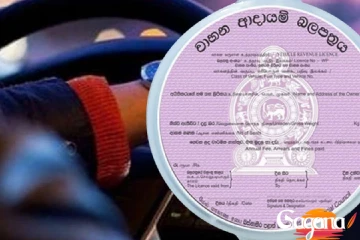 සියළුම වාහන බලපත්‍ර කවුළු වසා දමයි...