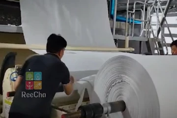 வடமாகாணத்தில் தொழில் புரட்சியை ஏற்படுத்தியுள்ள Reecha!