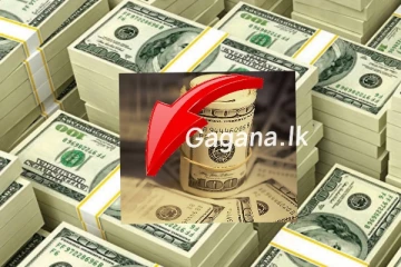 ඩොලරයේ පහළ යෑම ගැන රටටම සතුටුදායක ආරංචියක්..රුපියල ඉහළ නගී..