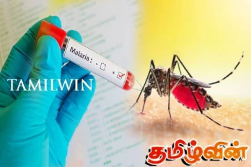மலேரியா நோயுடன் கிளிநொச்சி வைத்தியசாலையில் ஒருவர் அனுமதி