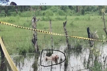 கை கால்கள் வெட்டப்பட்ட நிலையில் இளம்பெண்ணின் சடலம் மீட்பு