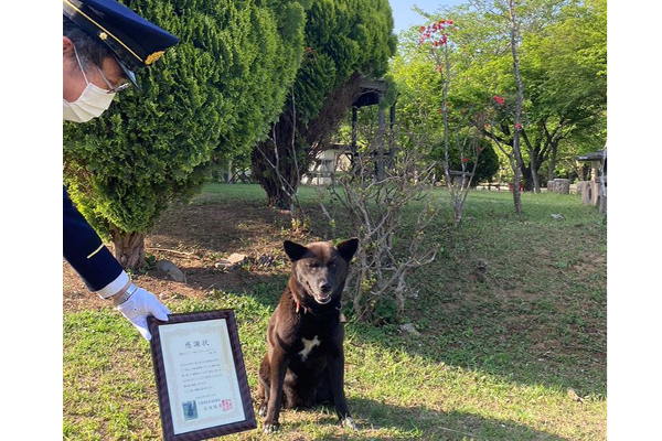 dog-awarded-for-saving-a-mans-life